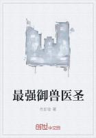 将军与我一世约