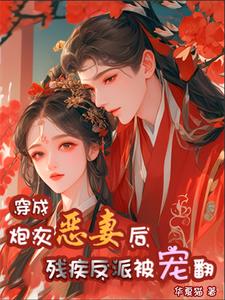 恶媳妇被穿后,残疾反派被救赎