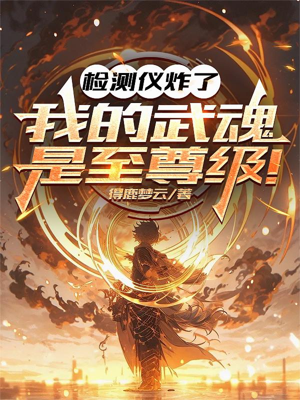 检测仪炸了:我的武魂是至尊级!