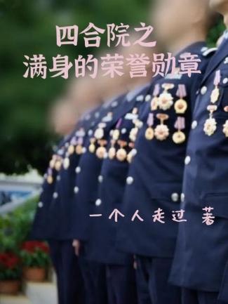 四合院之满身的荣誉勋章